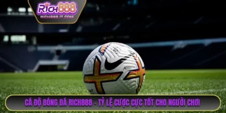 Cá Độ Bóng Đá