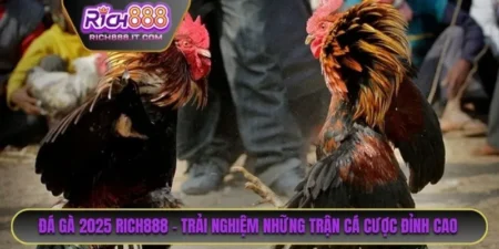 Đá Gà 2025