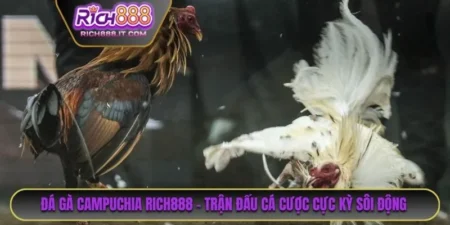Đá Gà Campuchia
